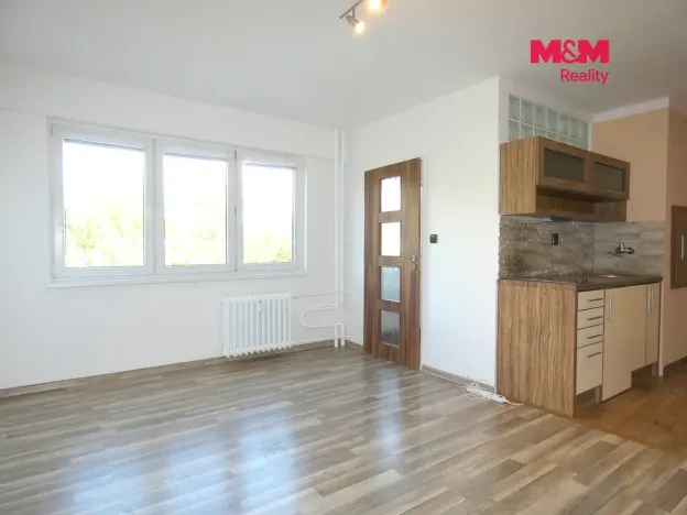 Pronájem bytu 1+kk, Ostrava - Moravská Ostrava, Petra Křičky, 30 m2