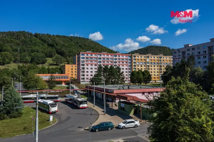 Prodej bytu 1+1, Ústí nad Labem - Mojžíř, Peškova, 35 m2