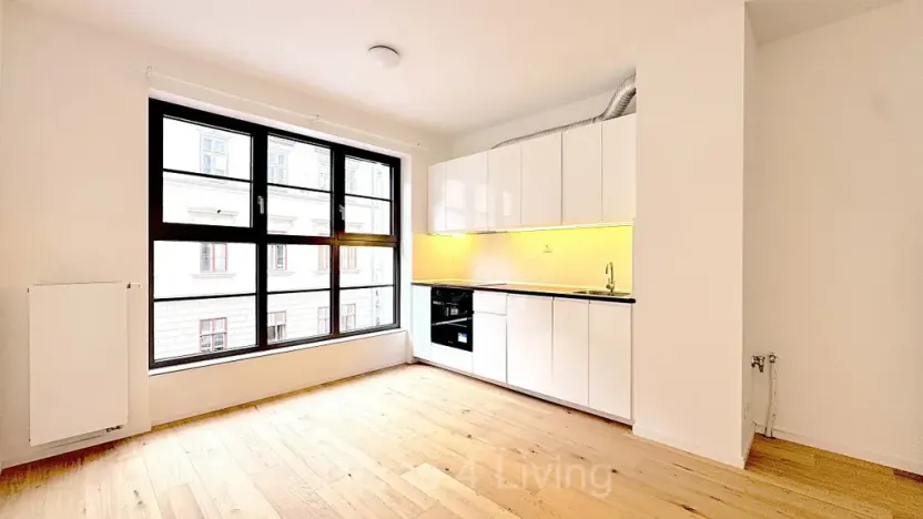 Pronájem bytu 1+kk, Brno, Bratislavská, 25 m2