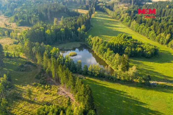 Prodej rybníku, Horní Ves, 21990 m2