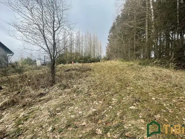 Prodej domu na klíč, Gruna, 90 m2