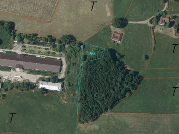Dražba louky, Hranice, 2086 m2