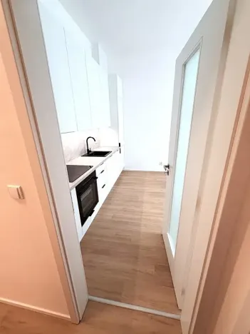 Prodej bytu 2+kk, Brno, třída Generála Píky, 84 m2