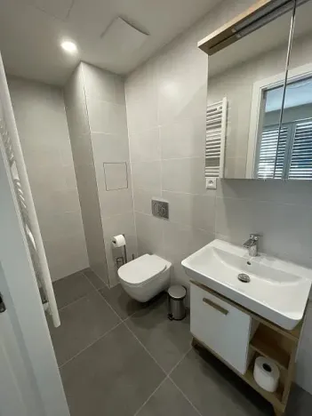 Pronájem bytu 3+kk, Praha - Řeporyje, Haenkeho, 80 m2