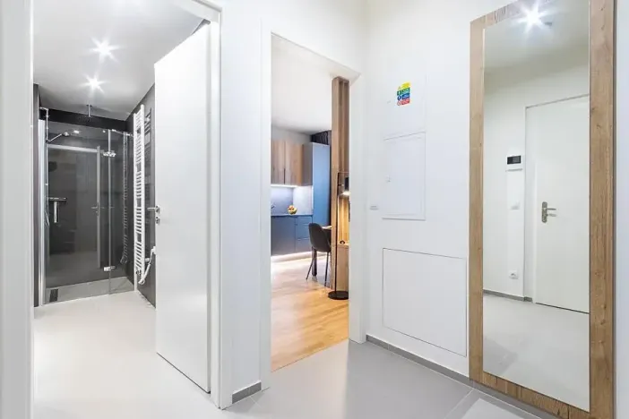 Pronájem bytu 1+kk, Praha - Žižkov, Seifertova, 29 m2
