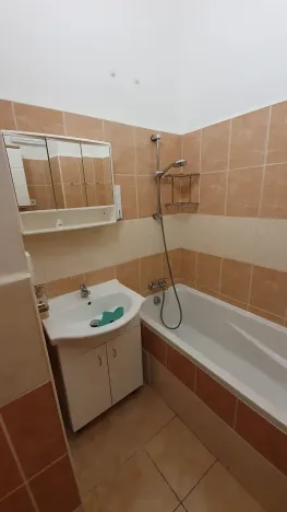 Pronájem bytu 1+1, Praha - Smíchov, Radlická, 39 m2