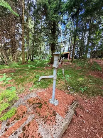 Prodej chaty, Borová, 53 m2