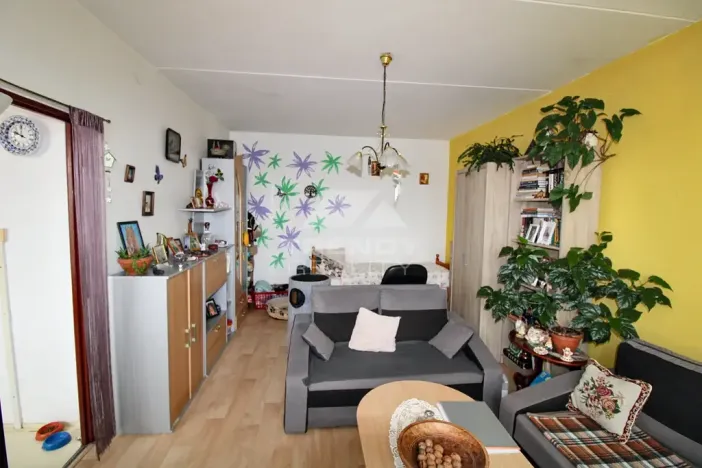 Prodej bytu 1+1, Plzeň, Žlutická, 39 m2