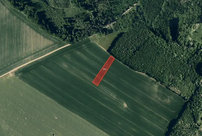 Prodej pole, Pačlavice, 13193 m2