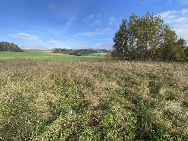 Prodej pozemku, Králíky - Horní Lipka, 3207 m2