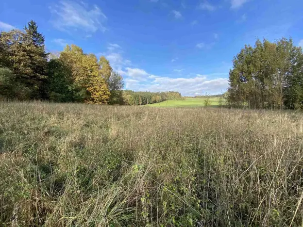 Prodej pozemku, Králíky - Horní Lipka, 3207 m2