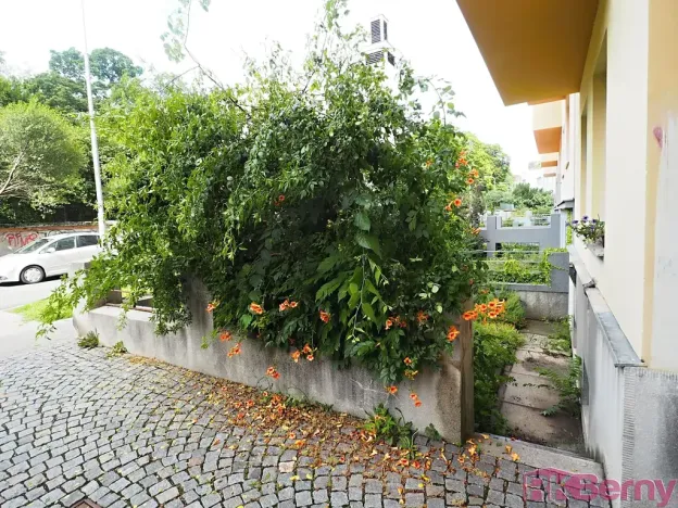 Pronájem bytu 2+kk, Brno, Botanická, 42 m2
