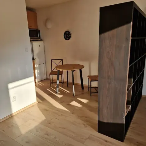 Pronájem bytu 1+kk, Praha - Libeň, Braunerova, 35 m2
