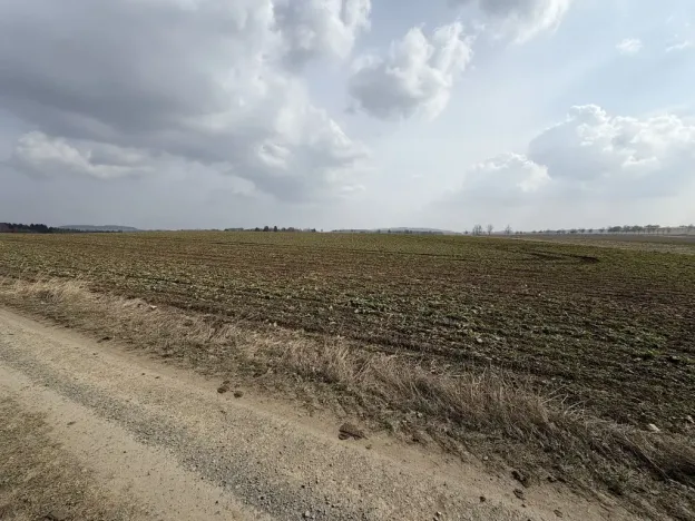 Prodej pole, Toužim - Kojšovice, 25962 m2