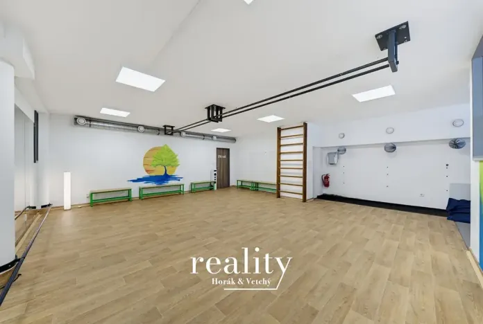 Prodej obchodního prostoru, Jihlava, Buková, 234 m2