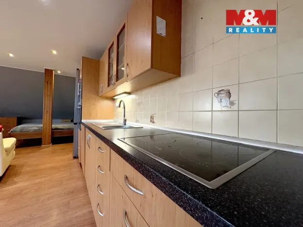 Prodej rodinného domu, Velké Žernoseky, 438 m2