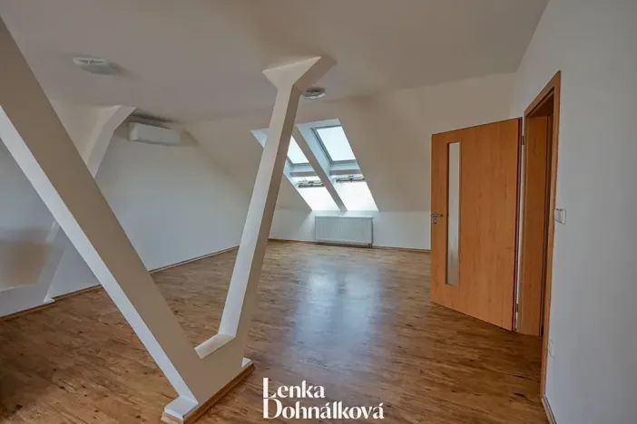 Pronájem bytu 3+kk, Hodonín, 115 m2