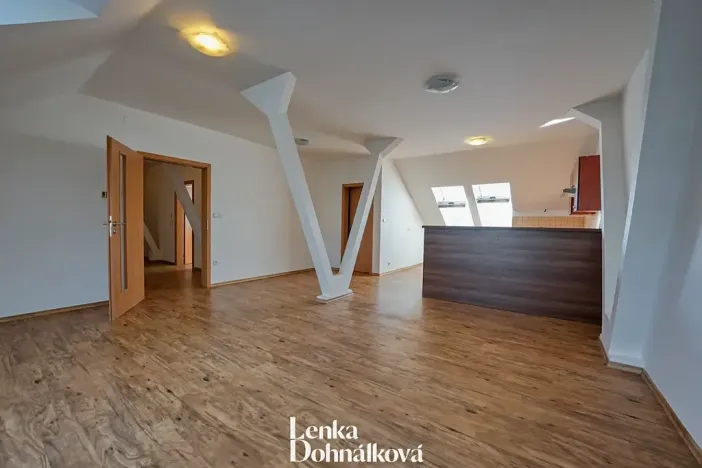 Pronájem bytu 3+kk, Hodonín, 115 m2