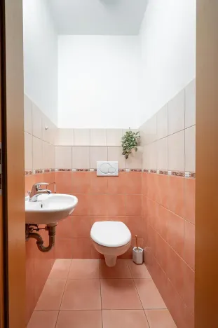 Pronájem bytu 1+kk, Praha - Libeň, Budilova, 39 m2