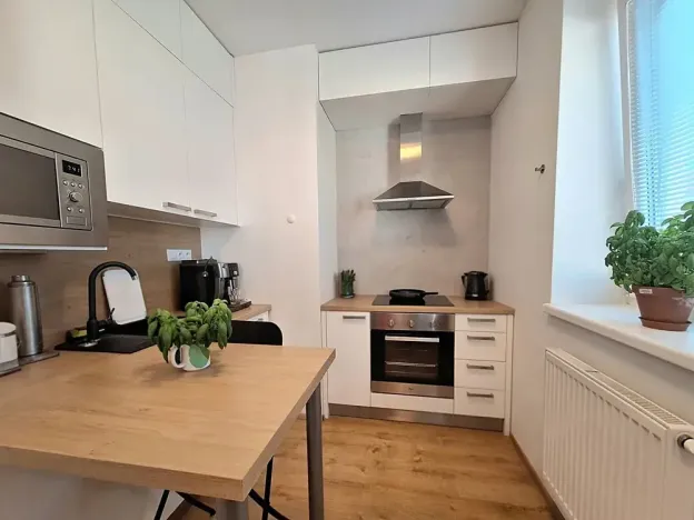 Pronájem bytu 1+kk, Brno, Přírodní, 35 m2
