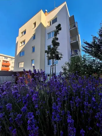 Pronájem bytu 1+kk, Brno, Přírodní, 35 m2