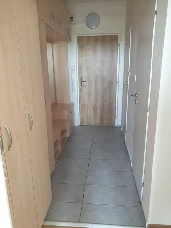 Pronájem bytu 2+kk, Brno, Svážná, 47 m2