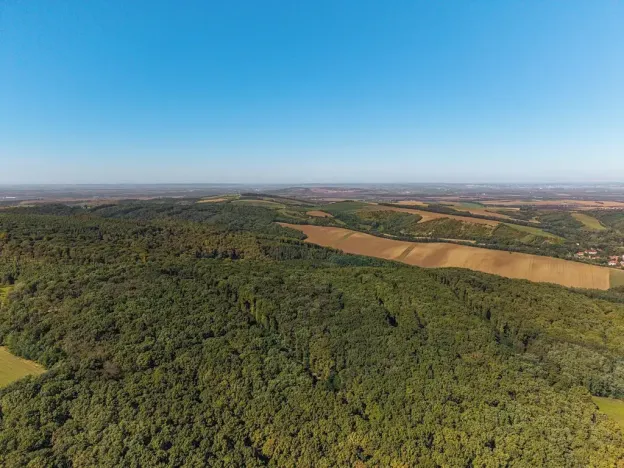 Prodej rodinného domu, Boleradice, 105 m2