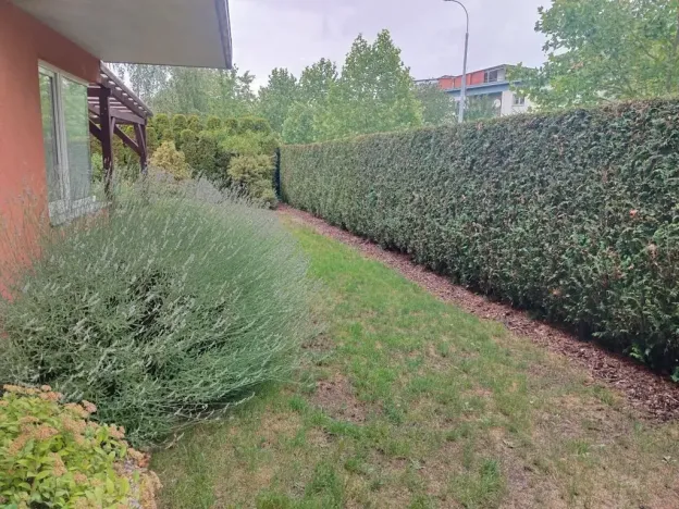 Pronájem bytu 2+kk, Plzeň, Znojemská, 66 m2