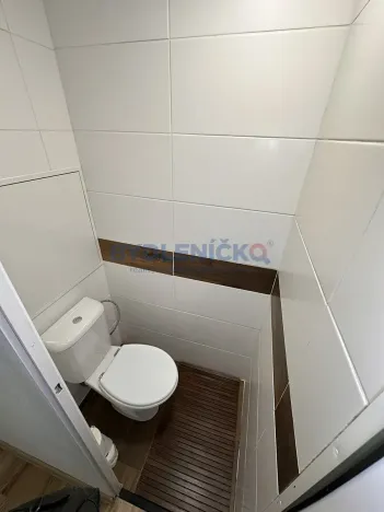 Pronájem bytu 3+1, Ledenice, Na Oborách, 76 m2