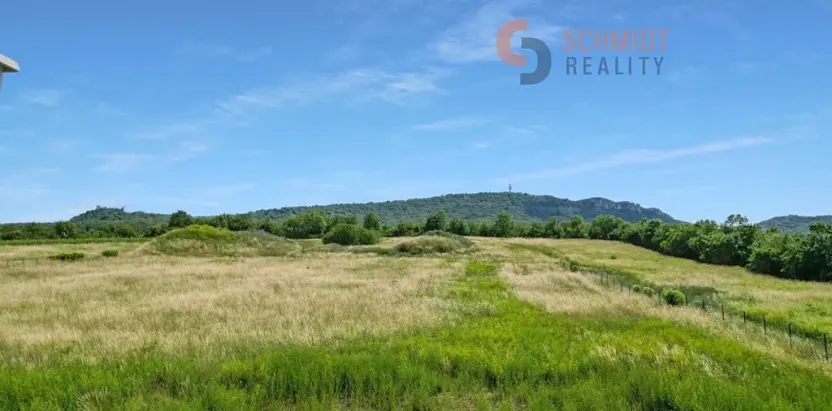 Prodej vily, Dolní Věstonice, Hlavní, 239 m2
