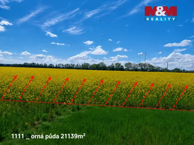 Prodej pole, Pňov-Předhradí - Pňov, 142115 m2