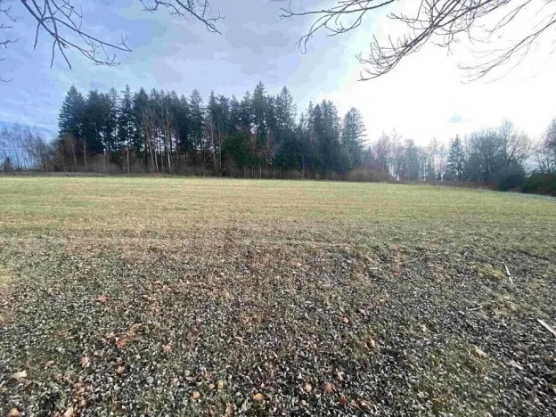 Prodej pole, Černá v Pošumaví - Bližná, 2972 m2