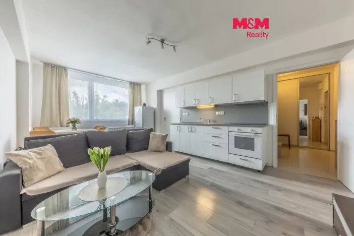 Prodej bytu 2+kk, Mladá Boleslav - Mladá Boleslav II, Jana Palacha, 42 m2