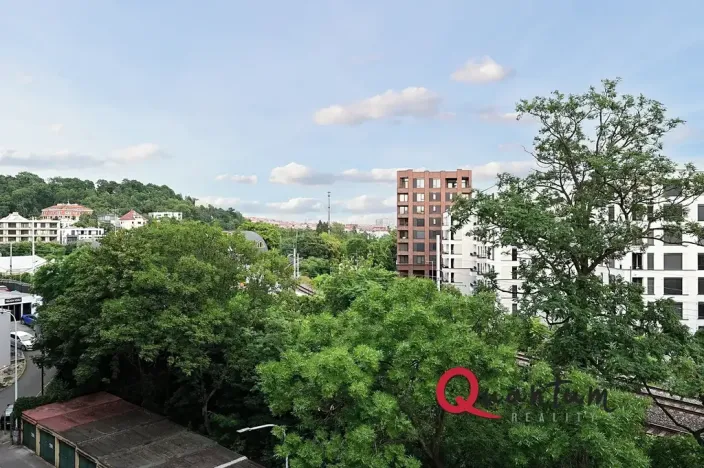 Pronájem bytu 1+1, Praha - Vinohrady, Fričova, 46 m2