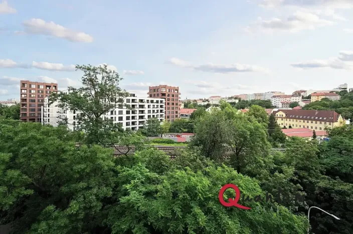 Pronájem bytu 1+1, Praha - Vinohrady, Fričova, 46 m2