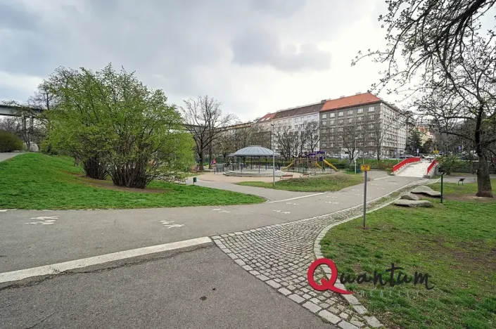 Pronájem bytu 1+1, Praha - Vinohrady, Fričova, 46 m2