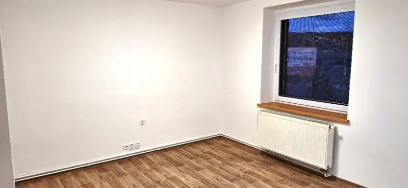 Pronájem bytu 1+1, Nový Jičín, Riegrova, 38 m2