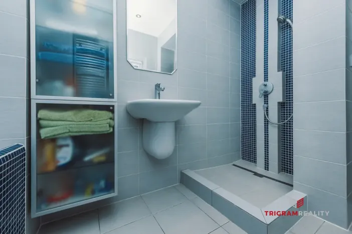 Pronájem bytu 2+1, Hradec Králové, Eliščino nábřeží, 80 m2
