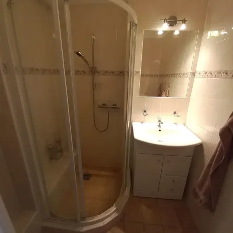 Pronájem rodinného domu, Pluhův Žďár, 160 m2