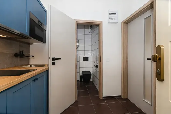 Prodej bytu 1+kk, Praha - Košíře, Vrchlického, 27 m2