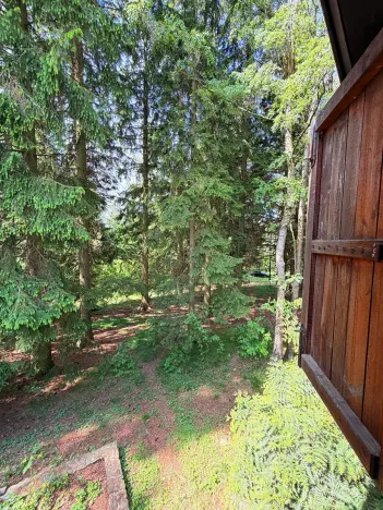 Prodej chaty, Borová, 53 m2