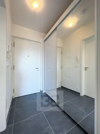 Pronájem bytu 1+kk, Praha - Čimice, Hrašeho, 46 m2