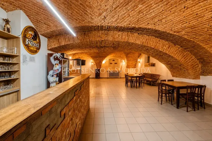 Prodej ubytování, Dobšice, Lahoferova, 218 m2