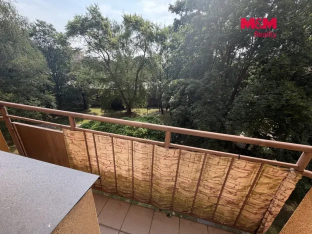 Prodej bytu 2+1, Orlová - Lutyně, Masarykova třída, 58 m2