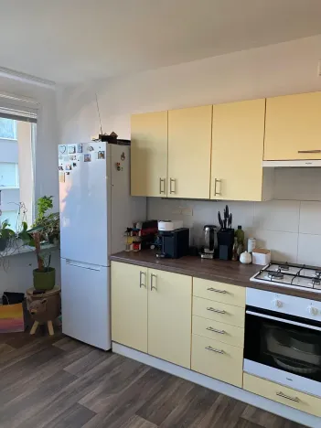 Prodej bytu 1+1, Teplice, Bratislavská, 41 m2