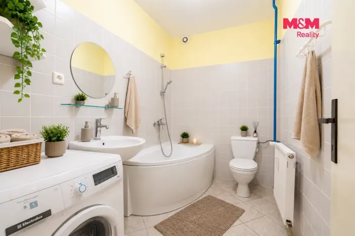 Prodej bytu 2+kk, České Budějovice - České Budějovice 3, Riegrova, 44 m2