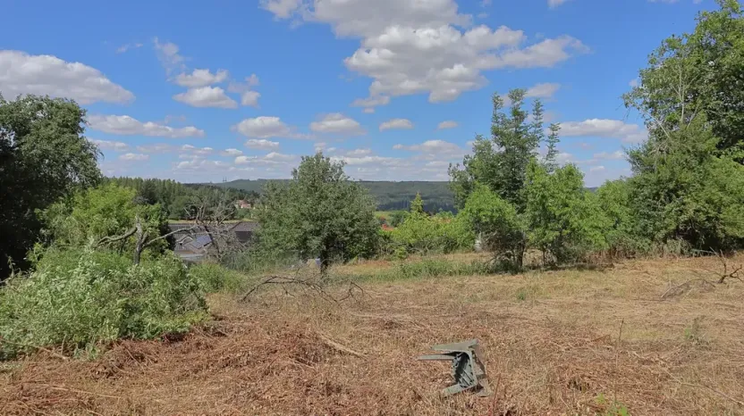 Prodej pozemku pro bydlení, Lešany, 2358 m2