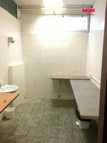 Pronájem obchodního prostoru, Ostrava, Vietnamská, 166 m2