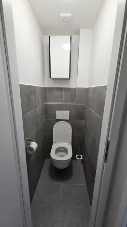 Pronájem bytu 2+1, Brno, Cejl, 53 m2