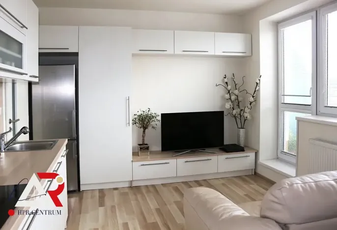 Pronájem bytu 1+kk, Brno, Hostinského, 30 m2